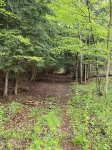 Secluded Cabin outside of Dushore
