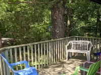Tree House Condo! Great Location! Steps From Campus!