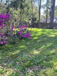 Unique Decor and Inspiring Ambiance - Vibrant Groovy Oasis Hotels in Leon County