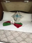 Trees Camper