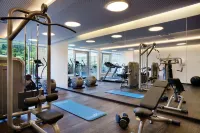 Kempinski Hotel Das Tirol Kitzbuehel Alps - ジム