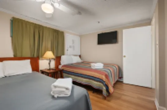 Ski-in/Ski-Out Access and Breathtaking Views - Luxurious Alpine Escape