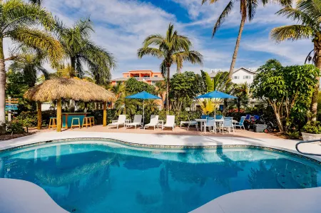 Siesta Key Island Rentals Отели в г. Сиеста-Ки