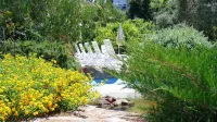 Hotel la Marticana Hotels in Ischia