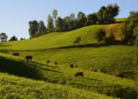 Ferienwohnung im Zentrum Von Mahlberg, Cleaning Included Hotels in Mahlberg