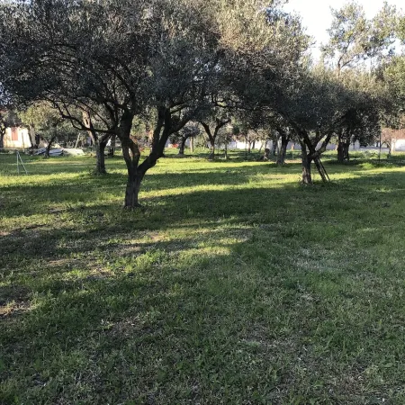 Ripari di Giobbe