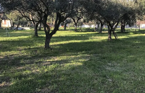 瑞帕利迪吉奧貝民宿