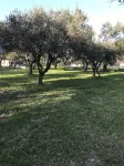 Ripari di Giobbe Hotels in Miglianico