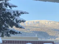 Mountain View Motel Hotels in Bulkley-Nechako A