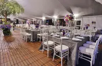 Uvence Arte + Hotel - Ramah Hewan Peliharaan