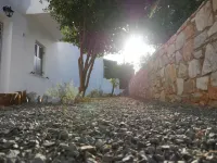 Galini Rooms & Apartments Syros Hôtels à : Galissas