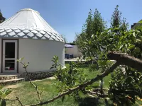 ทุนดุก โฮสเทล โรงแรมใน