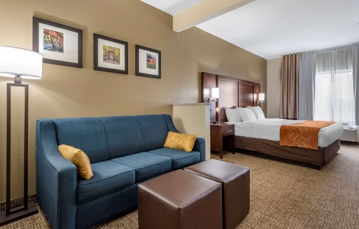 Comfort Suites Auburn Near I-69
