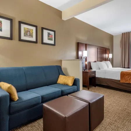 Comfort Suites Auburn Near I-69