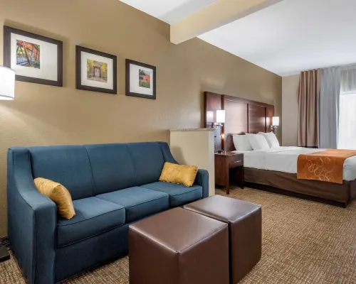 Comfort Suites Auburn Near I-69 Hotels in DeKalb County