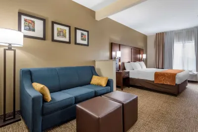 Comfort Suites Auburn Near I-69 Hotel dekat Eckhart Park