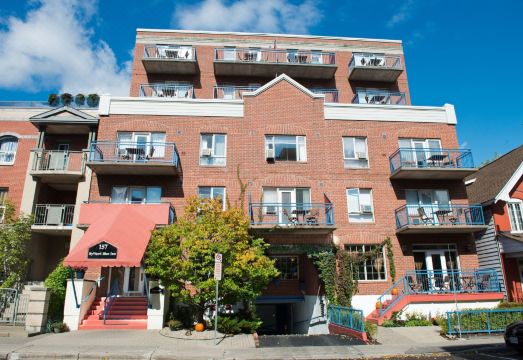 바이워드 블루 인