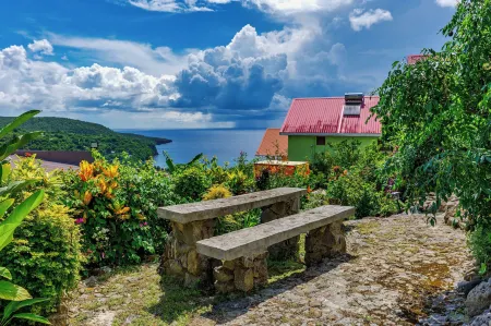 Tropical Paradise View