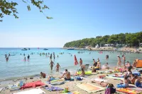 Apartments Ivana Hotels in Drage