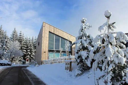 Apartment Monolith Black Forest Hotels in Schonach