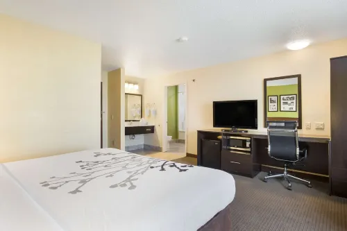 슬립 인 앤드 스위트 - 에어포트