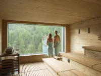 WellnessHostel4000 Hotels in Saas Fee