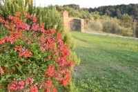 Country Hill B&B - maisons de vacances