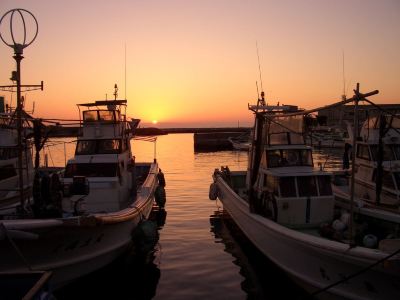 ホテル周辺 種子島あらきホテルの写真