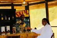 Davinci Gorilla Lodge - bars
