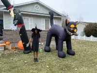 The Diamond at Kingston East