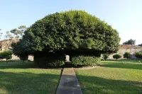 Quinta Das Lavandeiras - Caldas de Vizela Hotels in 