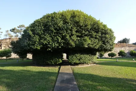 Quinta Das Lavandeiras - Caldas de Vizela Отели в г. Визела