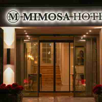Mimosa Hotel Hotel Exterior