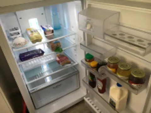 The Best Exotic Magnolia Cottage