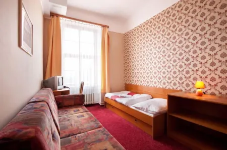 Hotel U Černého Orla Отели в г. Тршешть