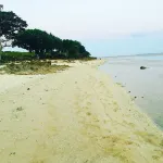 Yadua Bay Resort Hotels in Viti Levu