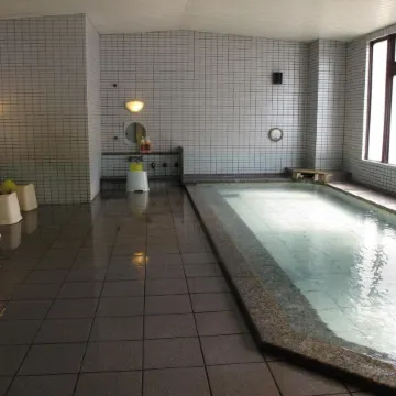 Hotel Platon Annex Green Plaza