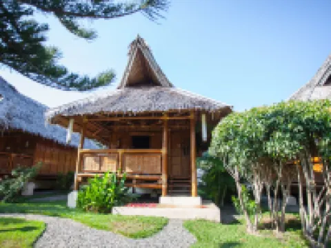 Pura Vida Beach & Dive Resort Hotels in Dauin