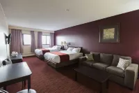 Argyll Plaza Hotel Hotels near Century Park