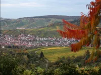 Gästehaus Schlegel Hotels in Waiblingen