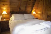 Cabañas Villa Pañil فنادق في باريلوتشي