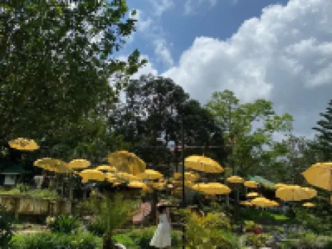 แซมคารา เรสเตอร์รองต์ แอนด์ การ์เด้น รีสอร์ท โรงแรมในลากูนา