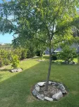 SanAndros Airbnb Hoteles cerca de Abaco Tours & Activities