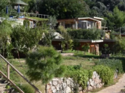 Kabak Avalon Bungalows Hotels in Uzunyurt Mahallesi