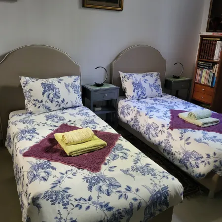 Room-Sintra Lousa Twin Guest Room with P