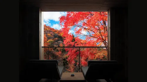 지지진 마츠야마 구마코겐 초 호텔