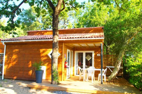 Comfort "hazelnut" A (sleeps 4)