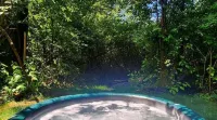 Tranquil A-Frame Cabin Retreat Nature's Serenity