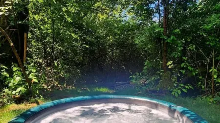 Tranquil A-Frame Cabin Retreat Nature's Serenity