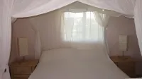 Sunrises & Sunsets Tropical Getaway - Incredible Views Overlooking Caribbean Sea Các khách sạn ở 